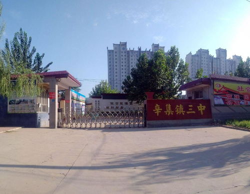 辛集市辛集鎮第三中學