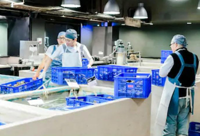 加拿大移民局認可的&ldquo;魚類和海產品加工工人&rdquo;需要具備哪些條件?