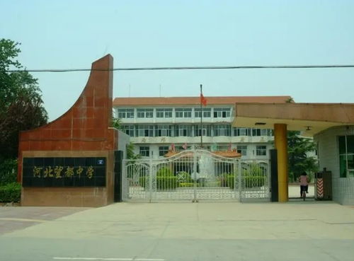 望都中學(xué) 以教育之光，照亮未來(lái)之路