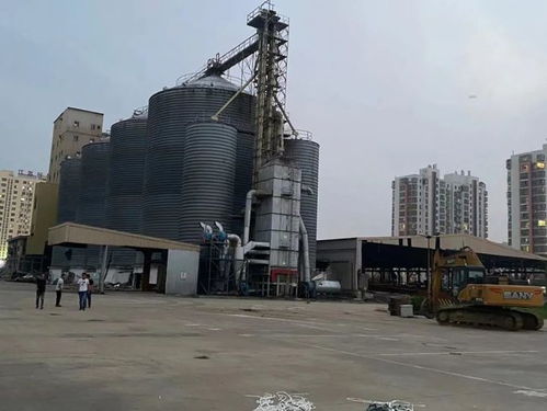 全新中學籌建加速，淮安這個區域迎來發展新契機